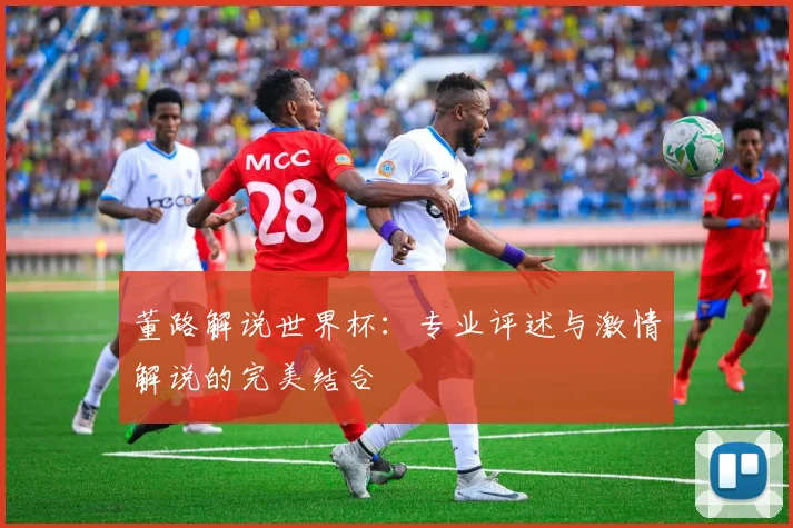 董路解说世界杯：专业评述与激情解说的完美结合